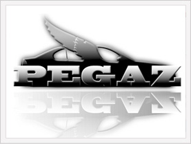 Projektowanie logo Pegaz